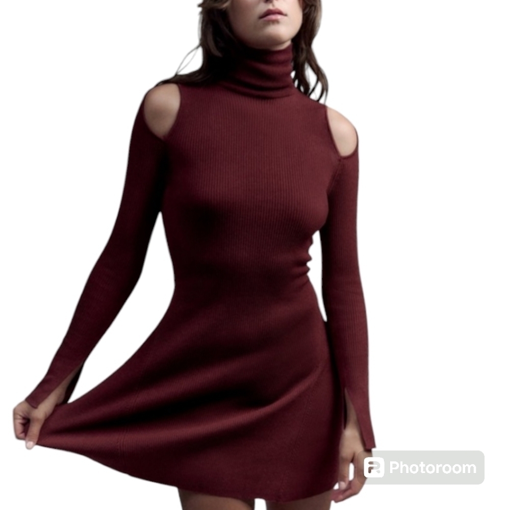 Zara Burgundy turtleneck, Ganni cold shoulder sleeves, cut out skater midi Dress